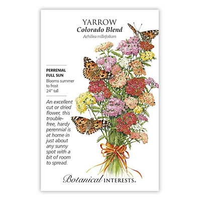 Seeds - BI Yarrow Colorado Blend