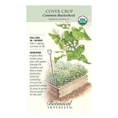 Seeds - BI Cover Crop Common Buckwheat Org