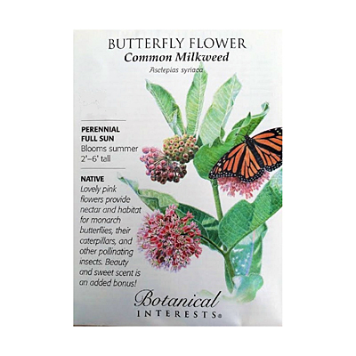 Seeds - BI Butterfly Flower 'Common Milkweed'