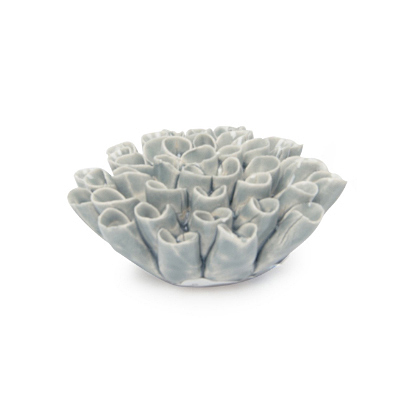 Coral 3 - Flower Light Blue