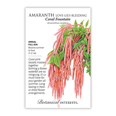 Seeds - BI Amaranth Coral Fountain