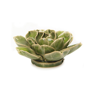 Coral 3 - Flower Green