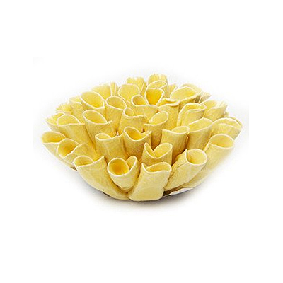 Coral 3 - Flower Yellow