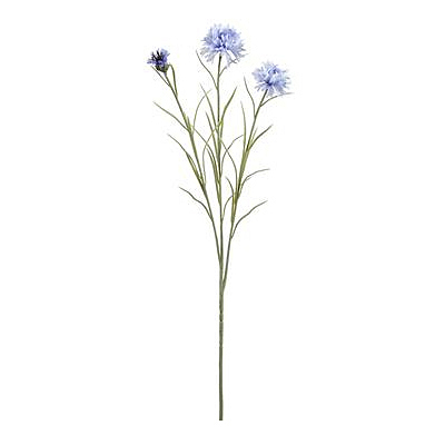 Cornflower Spray - Helio