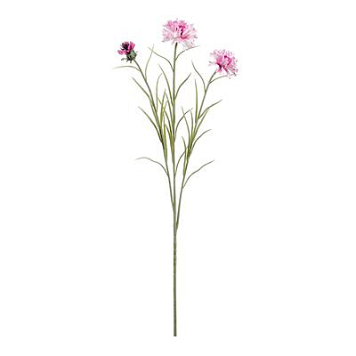 Cornflower Spray - Lavender
