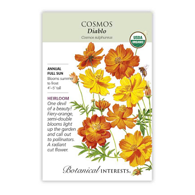 Seeds - BI Cosmos Diablo Organic