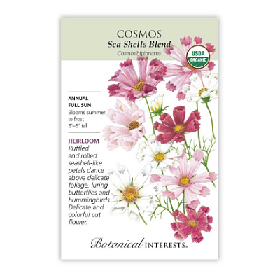 Seeds - BI Cosmos Seashells Org