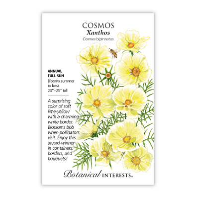 Seeds - BI Cosmos Xanthos