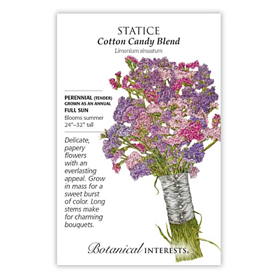 Seeds - BI Statice Cotton Candy Blend