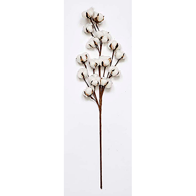 Cotton Spray - Natural