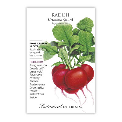 Seeds - BI Radish Crimson Giant