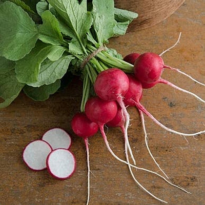 Radish 'Crunchy King'