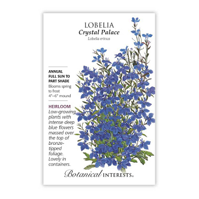 Seeds - BI Lobelia Crystal Palace