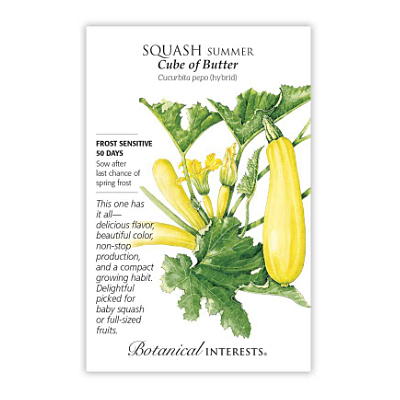 Seeds - BI Squash Summer Cube of Butter