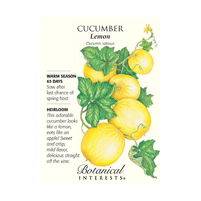 Seeds - BI Cucumber Lemon