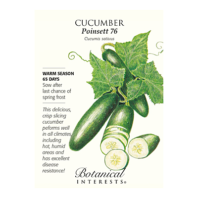 Seeds - BI Cucumber Poinsett 76
