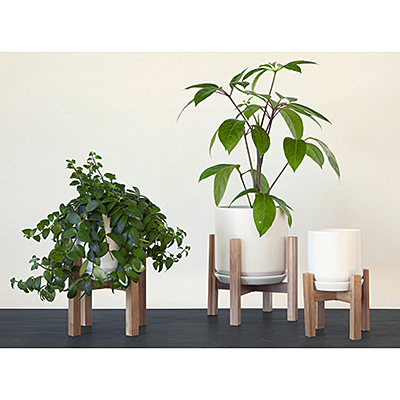 Cylinder Pot with Saucer - Matte White