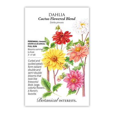 Seeds - BI Dahlia Cactus Blend