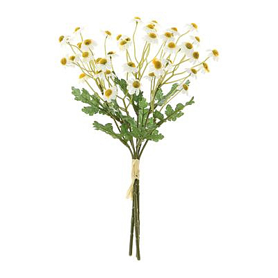 Mini Daisy Bundle - White