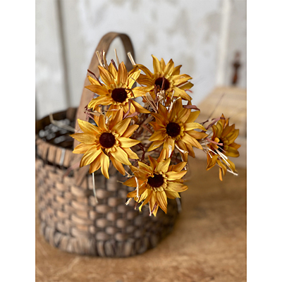 Day Daisy Bundle - Sunshine