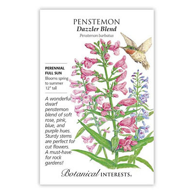 Seeds - BI Penstemon Dazzler Blend