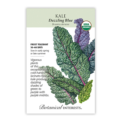 Seeds - BI Kale Dazzling Blue Org