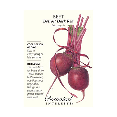 Seeds - BI Beet Detroit Dark Red