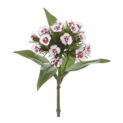 Dianthus Spray - White/Wine