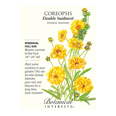 Seeds - BI Coreopsis Double Sunburst
