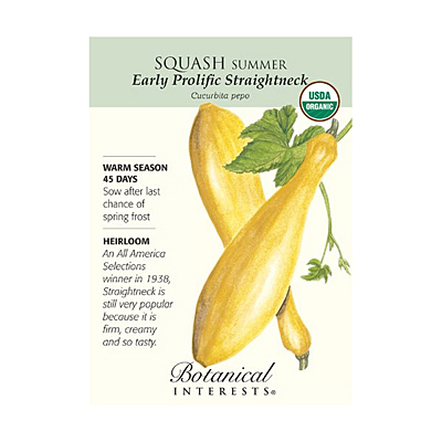 Seeds - BI Squash Summer Early Straightneck Org