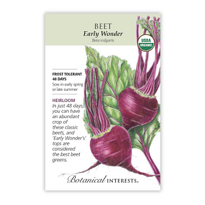 Seeds - BI Beet Early Wonder Org