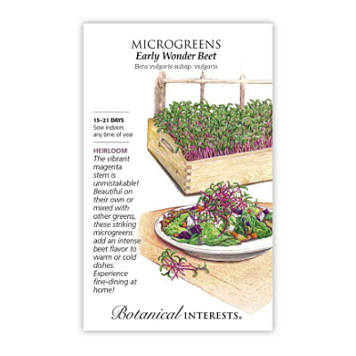 Seeds - BI Microgreens Beet Early Wonder