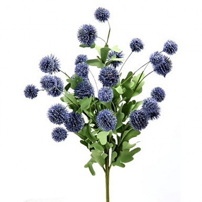 Echinops Bush x26 - Blue