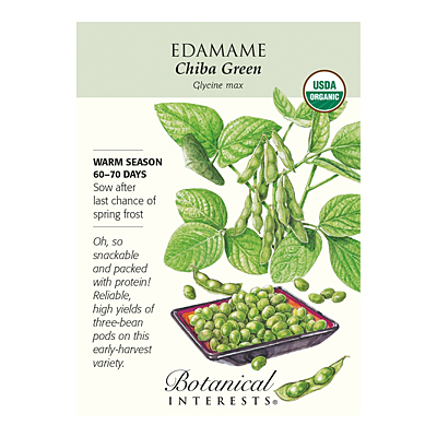 Seeds - BI Edamame Chiba Green Org