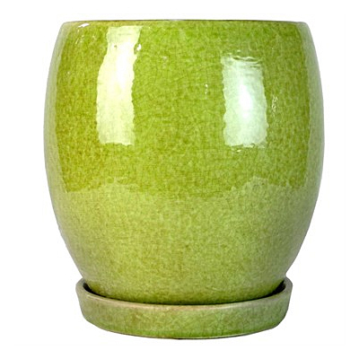 MCarr Egg Pot with Saucer - Crackle Green