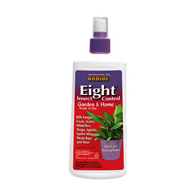 Bonide Eight Houseplant Insect Spray