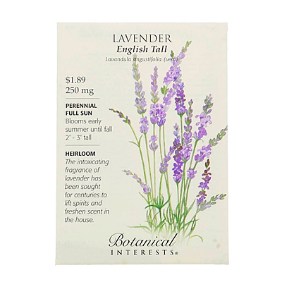 Seeds - BI Lavender English Tall
