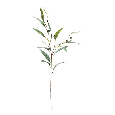 Eucalyptus Spray - Green