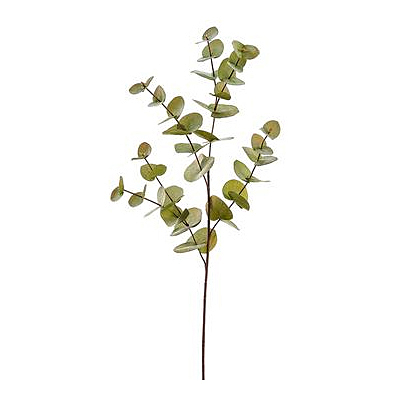 Eucalyptus Leaf Spray - Green Moss