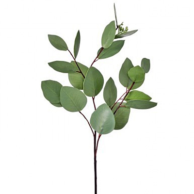 Heart Shape Eucalyptus Pick