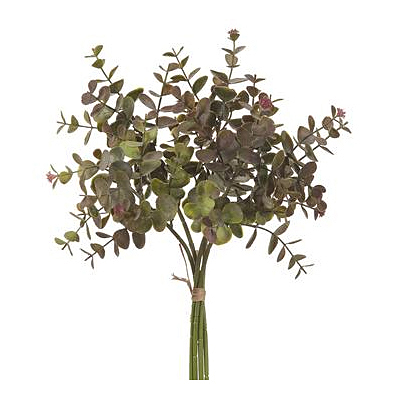 Eucalyptus Leaf Bundle - Green Purple