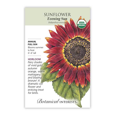 Seeds - BI Sunflower Evening Sun Org