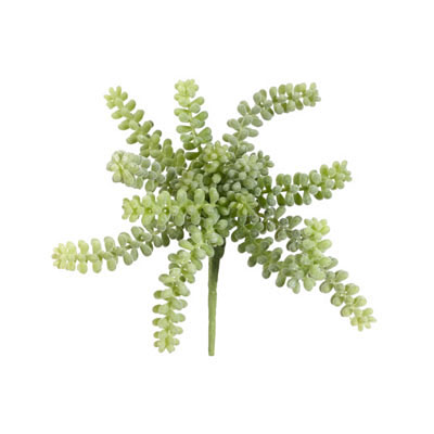 Donkey Tail - Light Green
