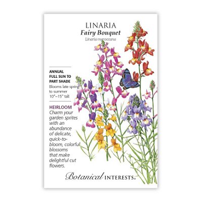Seeds - BI Linaria Fairy Bouquet