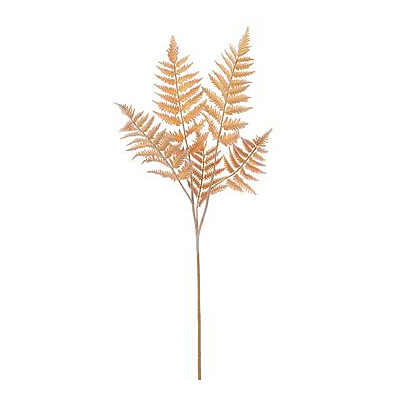 Fern Spray - Amber