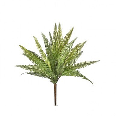Fern - Natural Touch Deer
