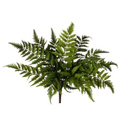 Fern - Natural Touch Forest