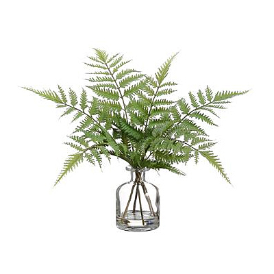 Forest Fern in Glass Vase (Small)