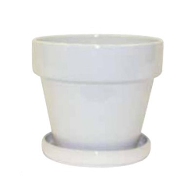 Fiesta Standard with Attached Saucer - White