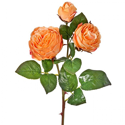 Rose & Bud Just Cut Floribunda - Coral